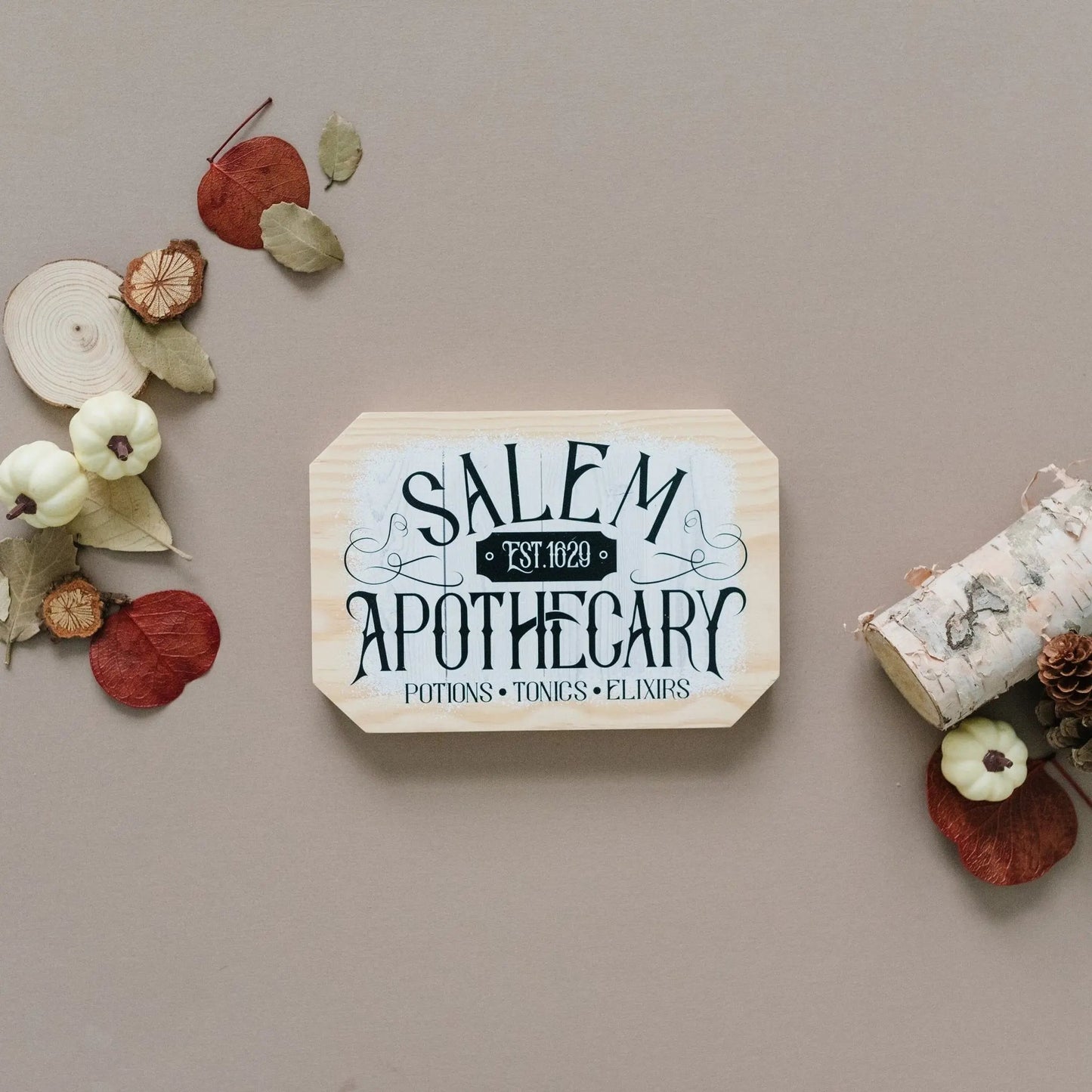 Salem Apothecary Sign Halloween Decor, wood block home decor, Fall decor wood sign